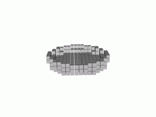 0011_dish_voxel_16.gif