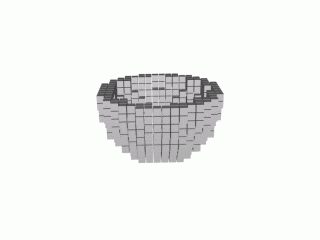 0013_dish_voxel_16.gif