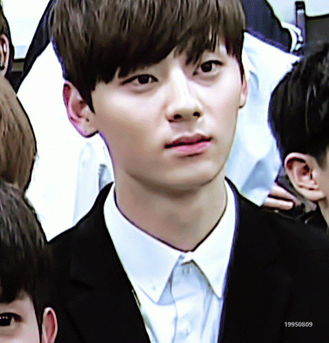 0428-01.gif