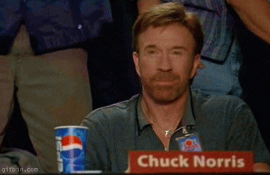 1237811519_chuck-norris-approves.gif