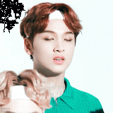 16041