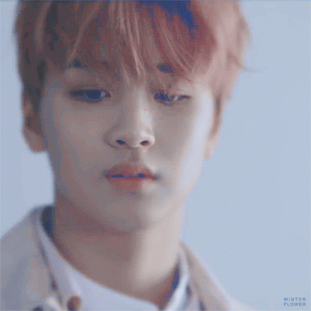 23081p.gif