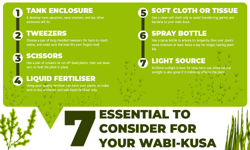3---7-essentials-to-consider-for-your-wabi-kusa.jpg
