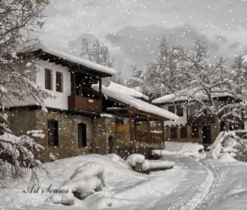 31827187c647cd21229d095ded4ca188