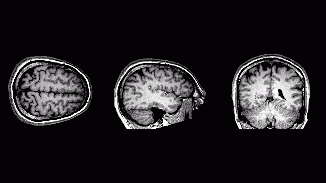 53f943.gif