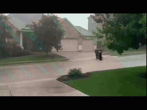 5444.gif