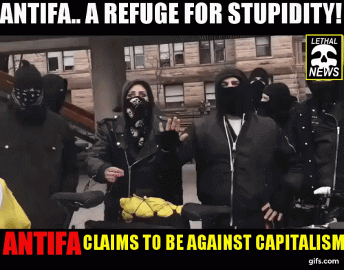ANTIFA A SAFE SPACE FOR IDIOCY GIF