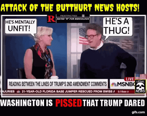 ATTACK OF THE BUTTHURT NEWS HOSTS GIF