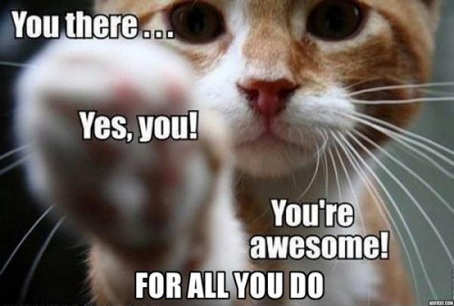 AWESOME FOR ALL YOU DO KITTY
