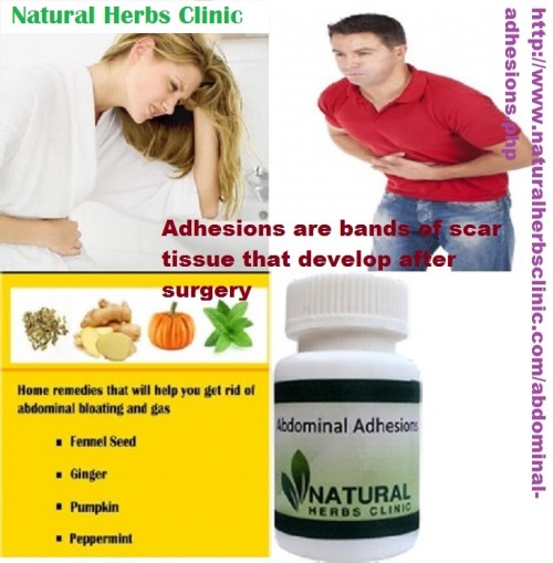 Alternative Treatments for Abdominal Adhesions, dietary changes can support a person with incomplete or complete obstruction due to Abdominal Adhesions. The diet generally recommended is a low-residue diet in which foods that tend to leave undigested materials in the digestive tract are avoided.... http://www.kiwibox.com/herbsclinic/blog/entry/137139985/abdominal-adhesions-natural-treatment
