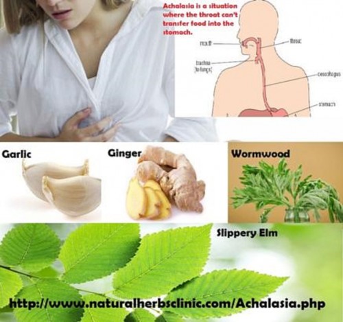 Achalasia Symptoms may vary, depending the period when the diagnosis is made. These are some symptoms of achalasia. Discomfort in the mid chest, Weight hardship and Violent hacking.... http://naturalherbsclinic.zoomshare.com/2.shtml
