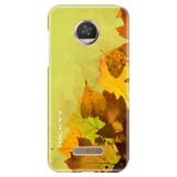 Autum249d9