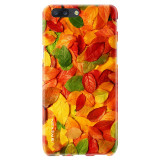 Autumnc7cda