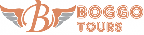 BOGGO-LOGO.png