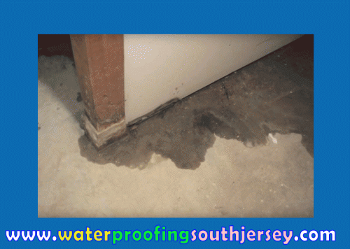 There is no one best method of addressing the flooding and dampness issues in the basement. Every home is different, and it is essential to address the problem by understanding the cause in detail. Contacting an experienced Basement Waterproofing NJ contractor is important. He/she will suggest you the right method for taking care of wet basement. Pop over to this web-site http://waterproofingsouthjersey.com/basement-waterproofing-nj/ for more information on Basement Waterproofing NJ.
Follow Us : https://goo.gl/LylqEB
https://goo.gl/CBpWtm
https://goo.gl/N3wQiw
https://goo.gl/zjEMFz
https://goo.gl/FJUXDw