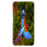 BeautifulParrot20c6e