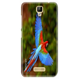 BeautifulParrot7a481