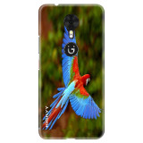 BeautifulParrot7febe