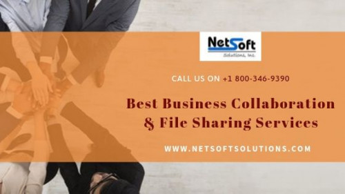 If you need to develop your business quickly, then you should put resources into a Business Collaboration & File Sharing services. Now you can get your business information anyplace, whenever with these cloud storage services. You can share your files rapidly without any complicated method.

http://www.netsoftsolutions.com/business-collaboration-file-sharing/