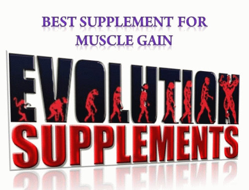 We know you are dedicated and hit the gym daily. To keep your spirits high and you motivate your work out, we present you the best supplement for muscle gain. We are Evolution Supplements, the best supplier in Australia. If you are willing to make a purchase, visit us at evolutionsupplements.com.au now. For additional details, you can chat with us through our website http://evolutionsupplements.com.au/muscle-enhancers/