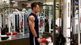 BicepsCableCurl.gif