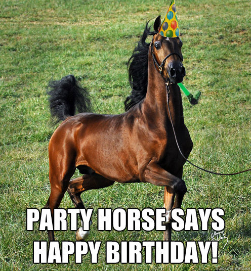 Birthday20Party20horse_zpsara4kiqg.jpg