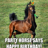 Birthday20Party20horse_zpsara4kiqg