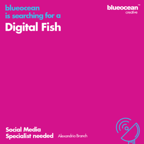 SWISH..SWISH...We're searching for a Digital Fish!
Blueocean is looking for a driven Social Media Specialist lives, breathes in the social media space.
Responsibilities:
•Create, schedule and publish social media content to promote brand exposure. 
•Deliver best-in-class community management and have a customer-first mindset.
•Plan, manage and execute social media campaigns strategies and come to table with innovative ideas. 
•Watch and act on social media trends.
•Work on project execution and optimization.
•Provide performance reports, analytic reporting & data analysis and provide action items based on findings.
If you can manage all the above duties,THEN you’re our perfect catch.
Come and join our Social Media team in Alex branch. 
If you're interested, send your C.V to Mr.recruity@bocreative.me