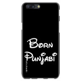 BornPunjabi421c1