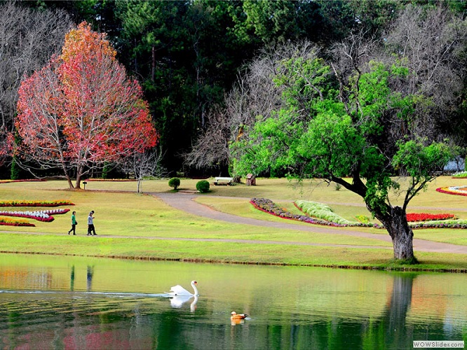 Botanical-Gardens