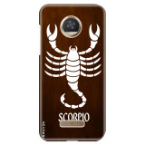 Brownscorpioa8553