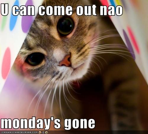 CAT-MONDAY-GONE.jpg