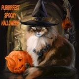 CAT-PURRRRFECT-HALLOWEEN