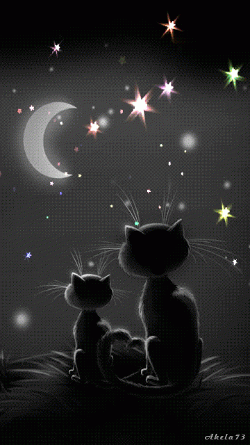 CATS IN STARS