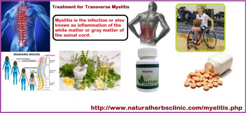 There is no cure for transverse myelitis at this time and no medications have been specifically approved to treat it. The standard Treatment for Transverse Myelitis Intravenous corticosteroids and prednisone... http://www.naturalherbsclinic.com/transverse-myelitis-treatment-guidelines