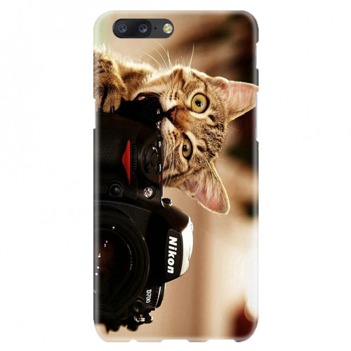 Camara Cat