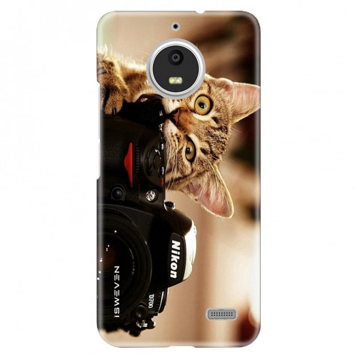 Camara Cat