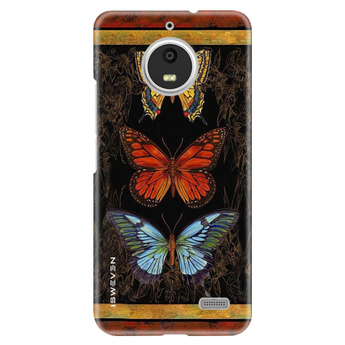 CenterButterfly12d2a.jpg