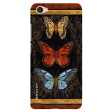 CenterButterfly65379