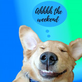 DOG-AHHHH-WEEKEND