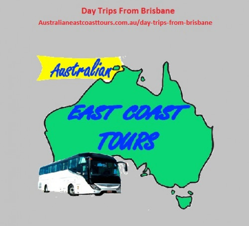 Schedule your day trips from Brisbane with Australian east coast tours. Our trips are best planned for families, friends, groups and couples . Visit our page for bookings !