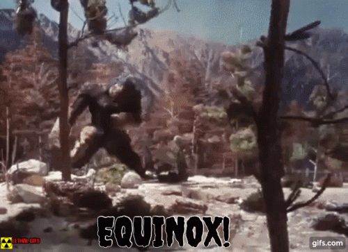 EQUINOX ape GIF