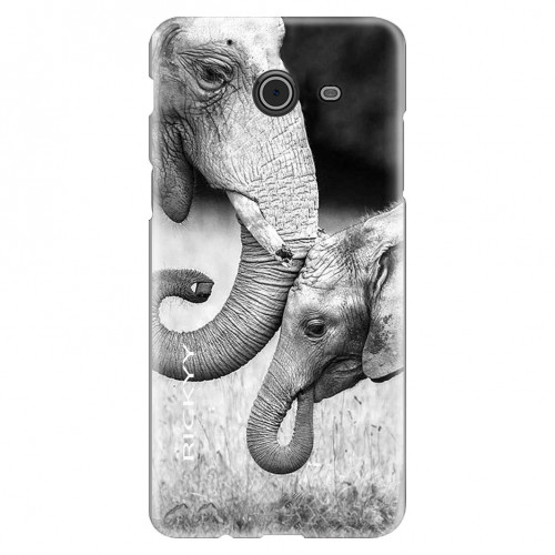 ElephentFamily5b623.jpg