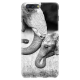 ElephentFamilycde23