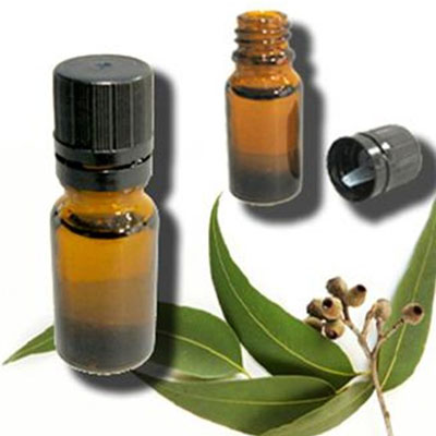 Eucalyptus-Oil.jpg