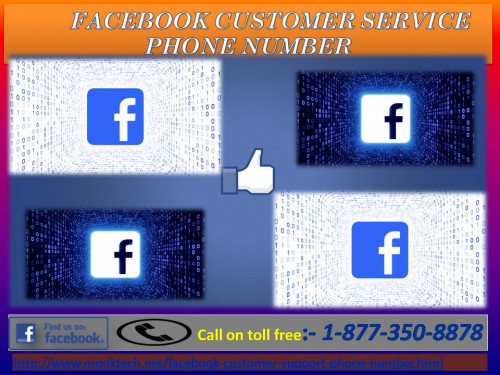 If you want to diagnose Facebook-related errors which are disturbing you again and again while using Facebook, just make a free call to our experts who are 24/7 available to you. Our Facebook Customer Service Phone Number will provide you the Christmas offer in which any user can directly call our accomplished experts through a toll-free number 1-877-350-8878 and enjoy unlimited benefits anytime. For more information: - http://www.monktech.net/facebook-customer-support-phone-number.html