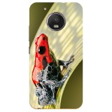 Frogish