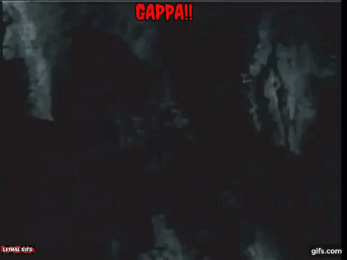 GAPPA cave GIF