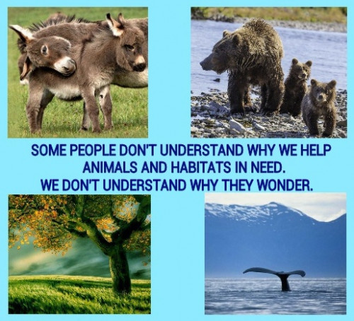 HELP-ANIMALS-AND-HABITATS.jpg