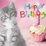 Happy20Birthday20Cat_zpsbbzbymow